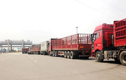 貨運行業新動向 兩會提案聚焦高速免費與多證合一，助力道路貨物運輸代理發展